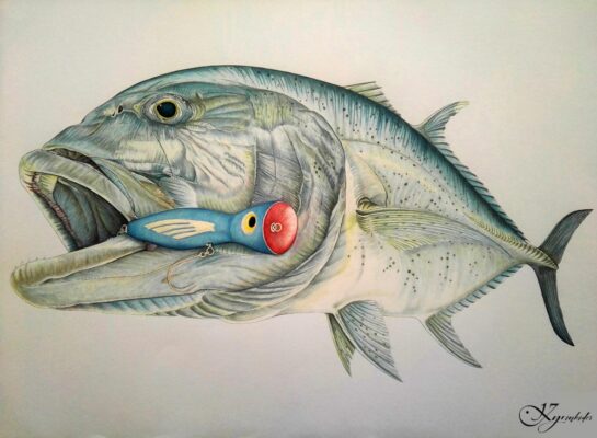 Sportfishing artwork, GT artwork, Offshore fishing Artwork